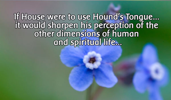 houndstongue-quote