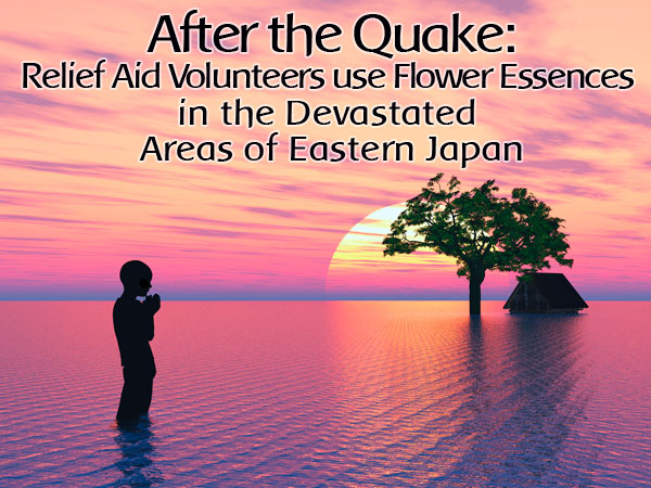 after the quake