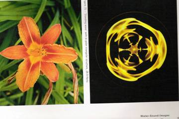 flower-fractal