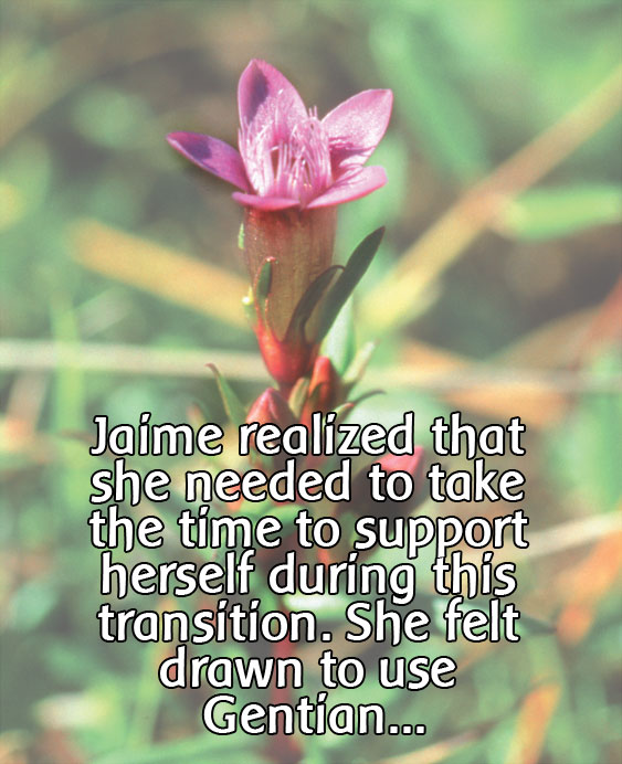 Gentian Quote