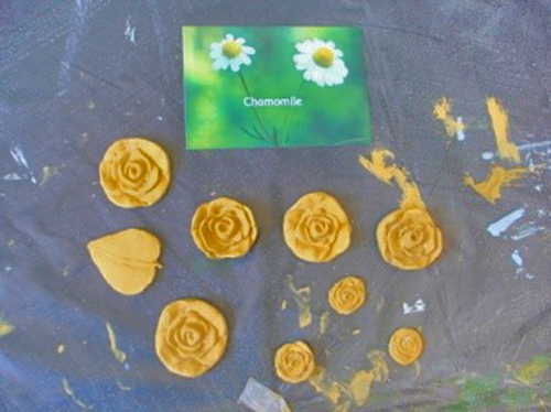 chamomile art
